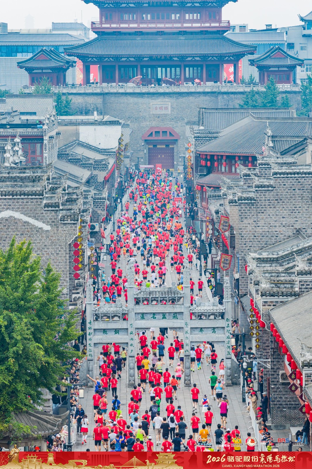 undefined 微信图片_20261025213151_51_8.jpg